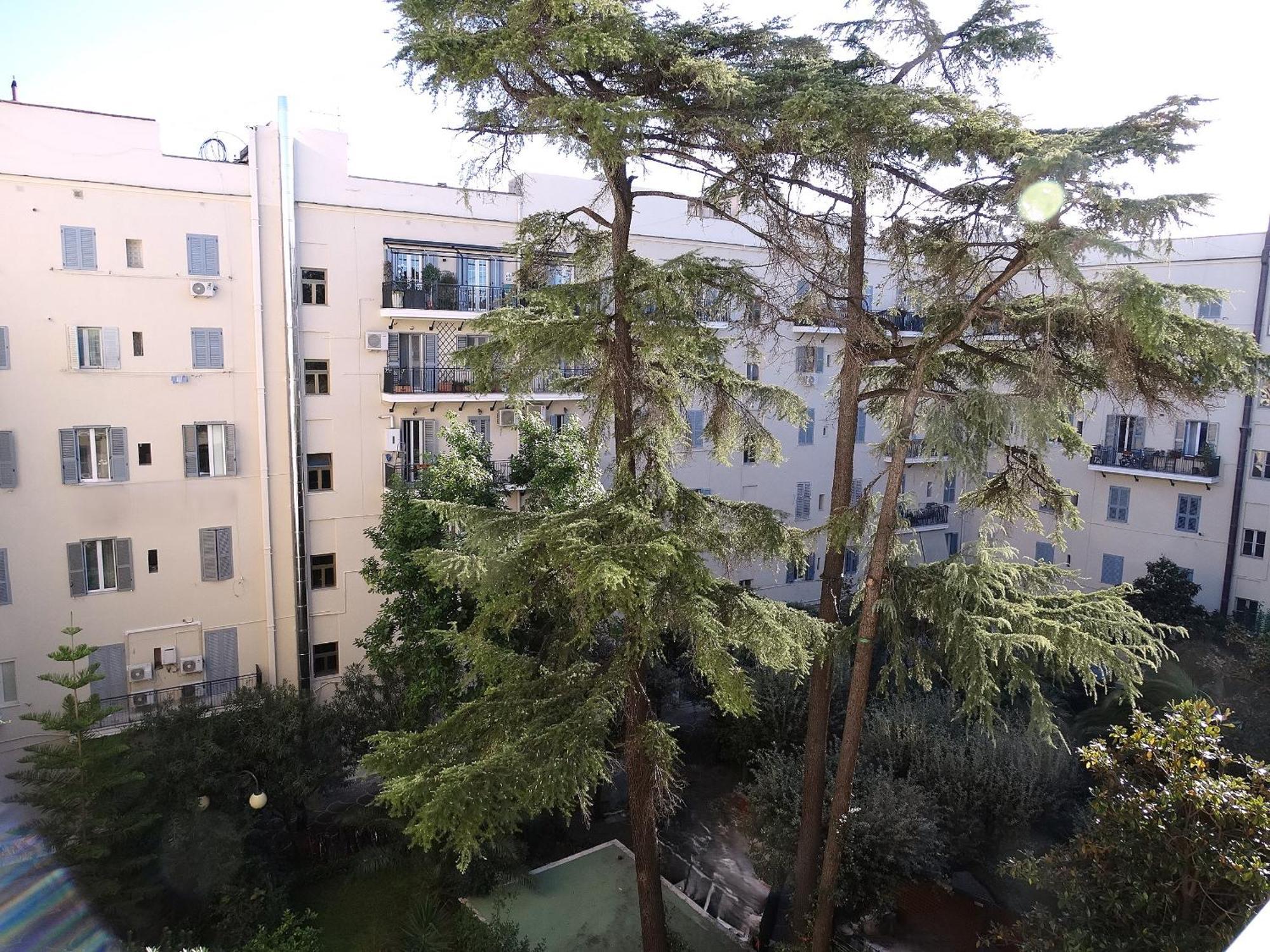 Domus Dino — Foto 3